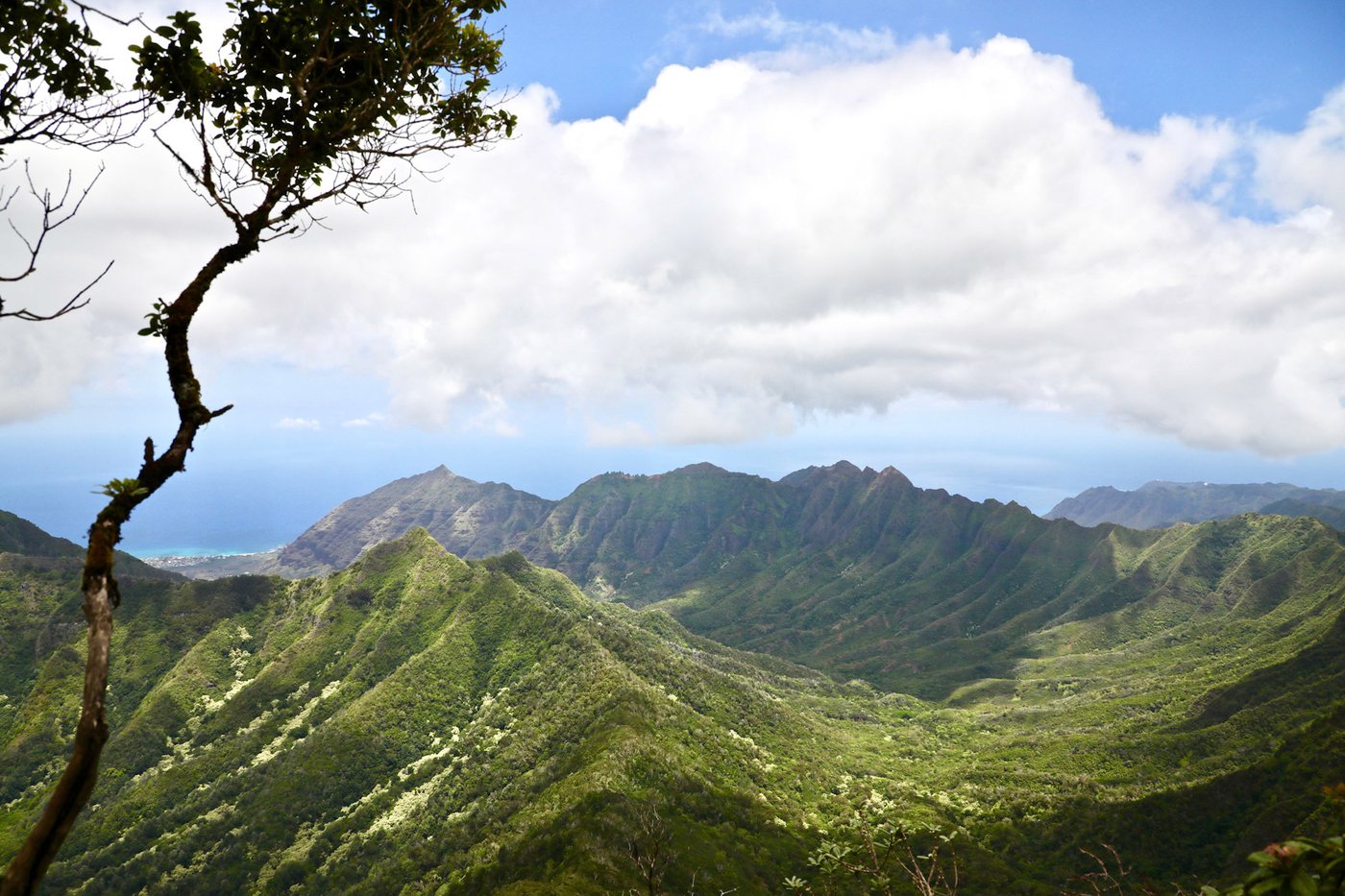 Green volcanic ridgeline above the ocean on Oahu